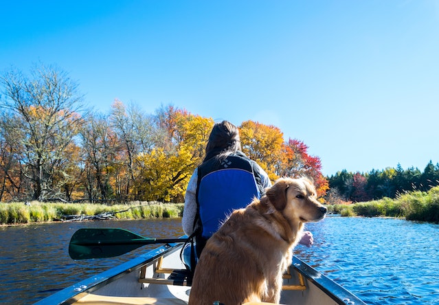 Reisen mit Hund: Trendurlaub 2022 mit dem liebsten Vierbeiner